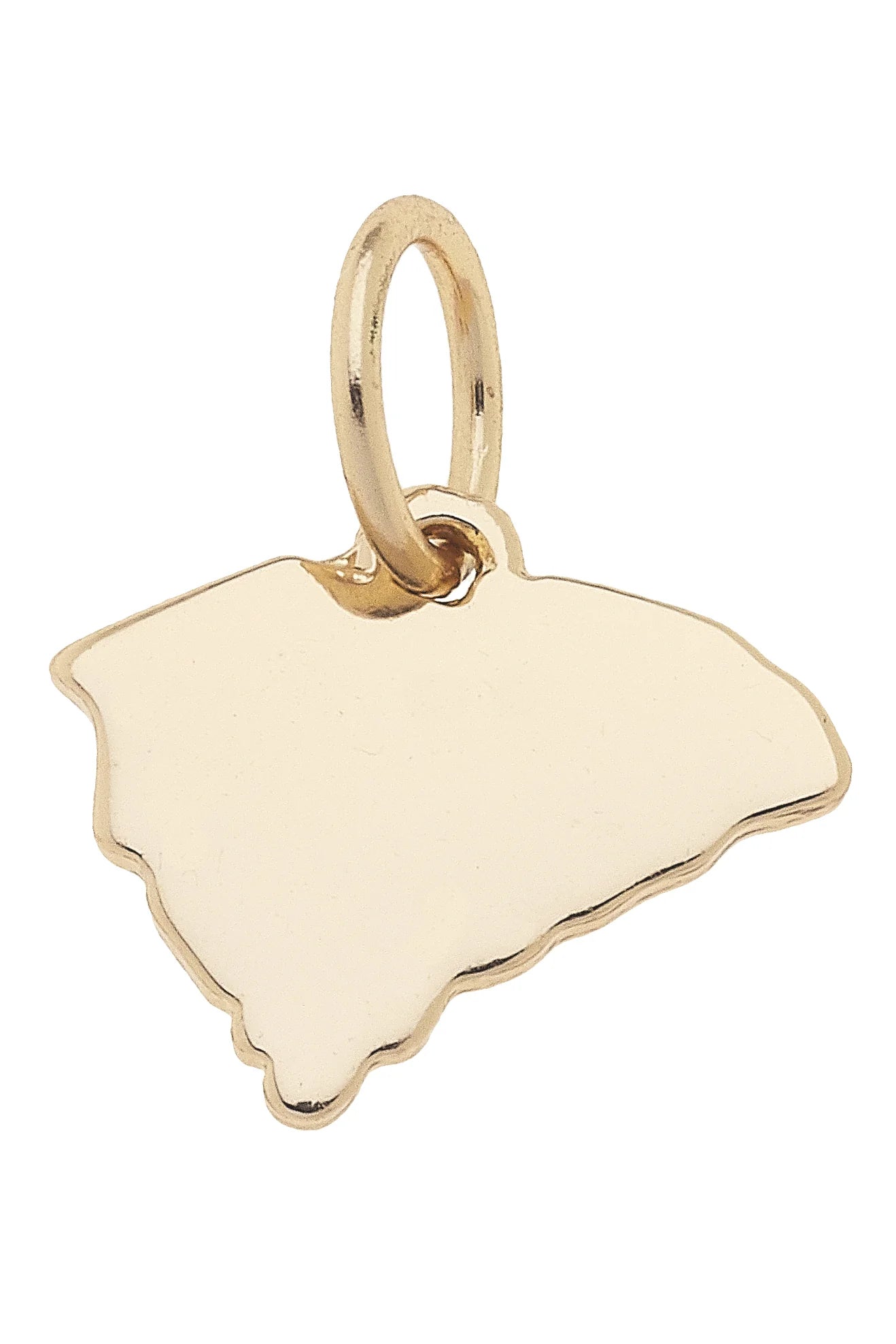 South Carolina Shaped State Charm - Gold