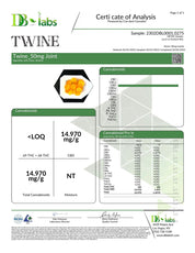 Twine Joint Relief Gummies - 1500 mg