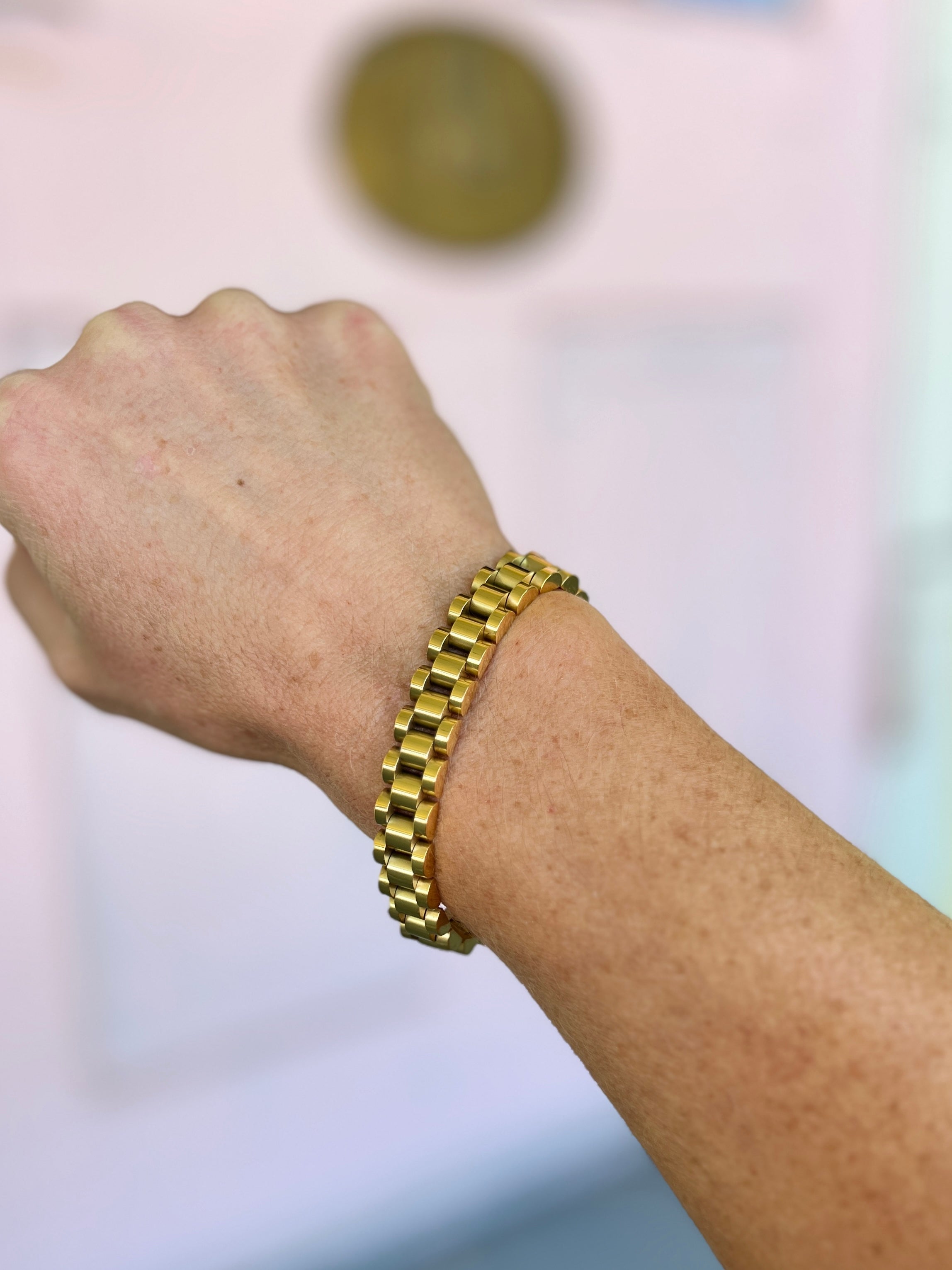 Stainless Steel Watch Band Bracelet