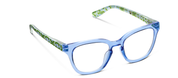 Light blue eyeglasses with green patterned temple accents and clear lenses