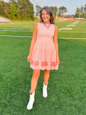 Clemson Seersucker Dress