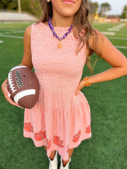 Clemson Seersucker Dress