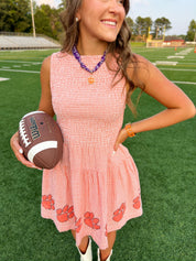 Clemson Seersucker Dress