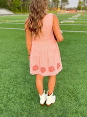 Clemson Seersucker Dress