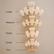 Claw clip size guide showing tiny, small, petite, medium, and large clips